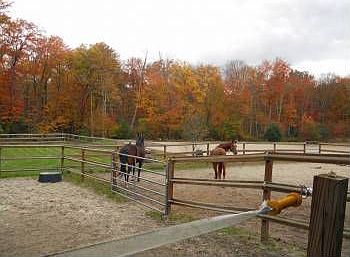 Paddocks