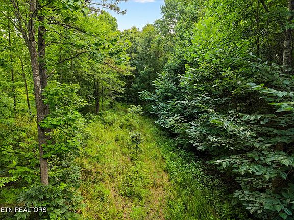 4th image of 13252 Flatwoods Rd