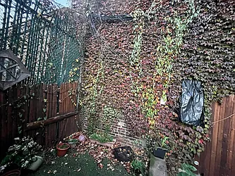 Rented by MySpaceNYC