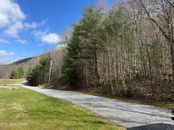 Cougar Trail 4.64, Del Rio, TN 37727