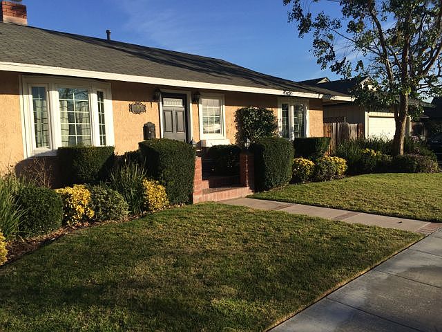 Front Yard