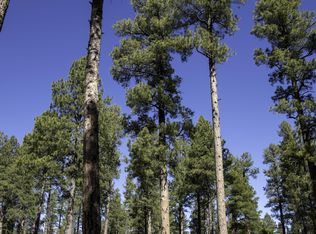 7800 Forest Service 122 Rd TRACT 9B-9, Happy Jack, AZ 86024