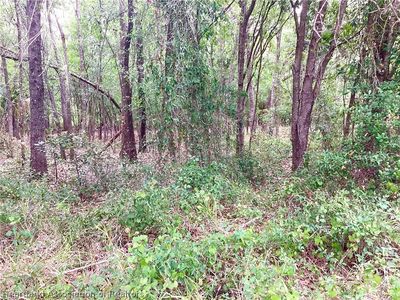 9232 Saddle Path, Sebring, FL, 33875