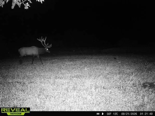Wp1, Lower Brule, SD 57548