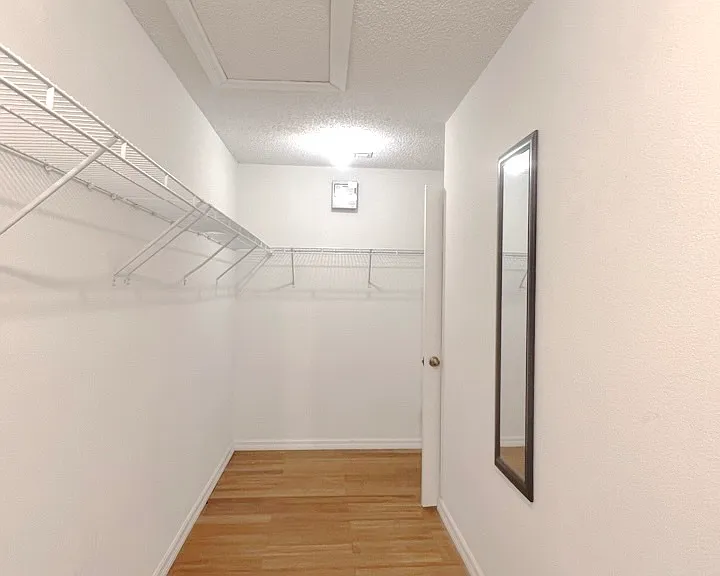 831 Horseshoe Falls Dr — Photo 5