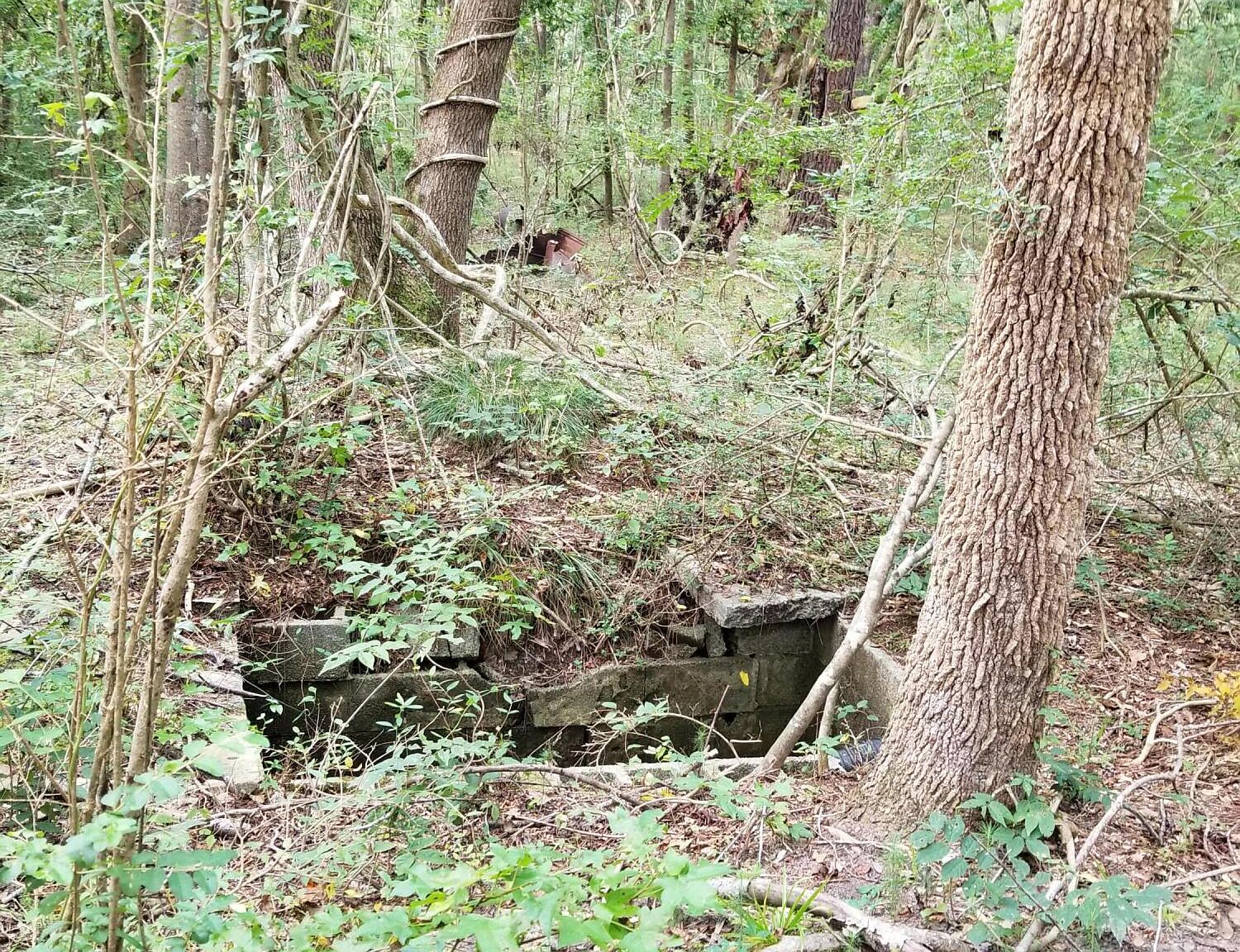 0 White Hall Rd, Yemassee, SC 29945 Zillow