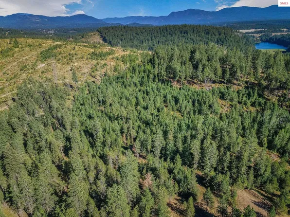 L1 Smokewood Dr, Athol, ID 83801