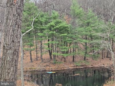 0 Shockeysville Rd, Winchester, VA, 22603