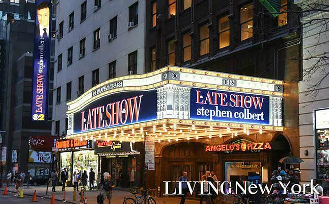 Rented by Living New York | media 19