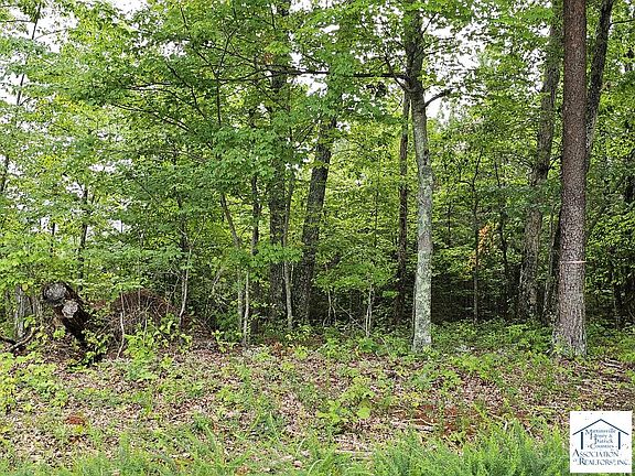 2nd image of 0 Powell Rd