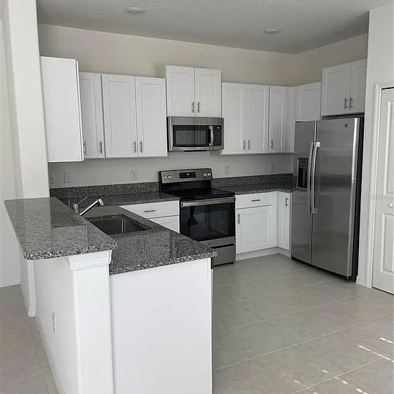 32077 Powderpuff Mimosa Dr — Photo 1