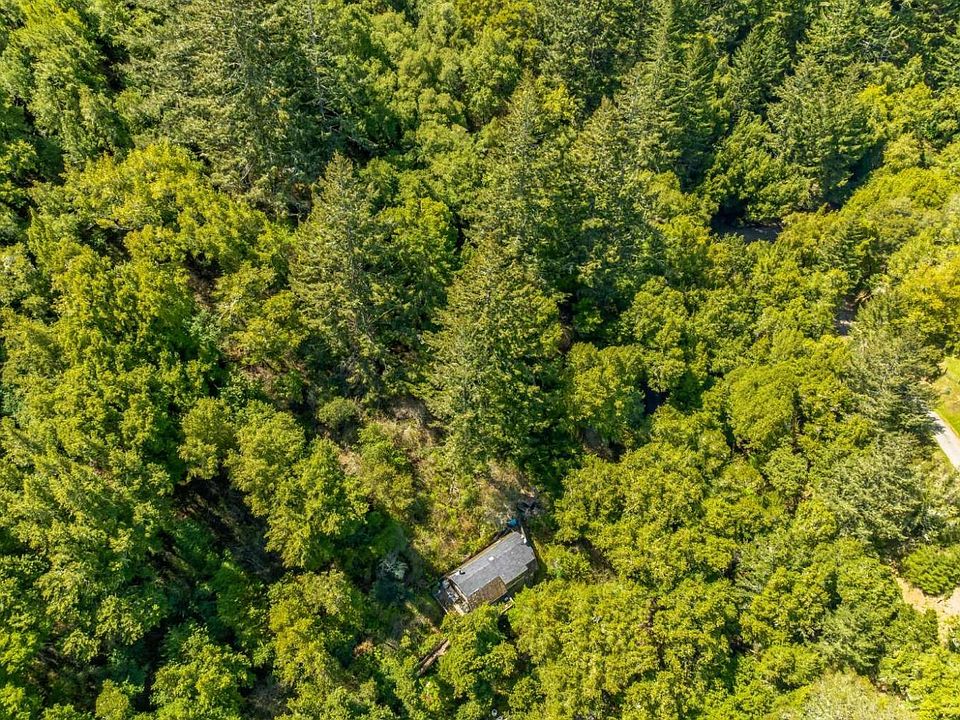 25 Portola Ave, Lagunitas, CA 94938 MLS 323026476 Zillow