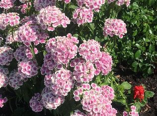 25 Madison Ave, Chelsea, MA 02150