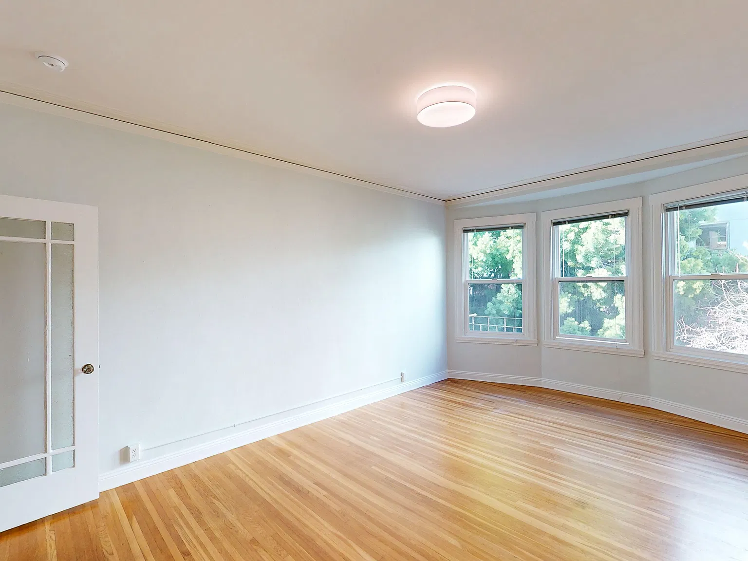 Spacious Studio Steps from the Panhandle & Golden Gate Park 2160 Fell Street #203 | San Francisco — Photo 3