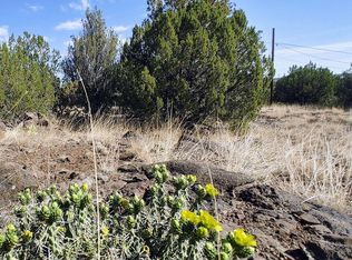 1799 Scott Pl, Show Low, AZ 85901