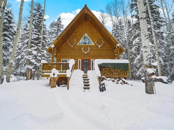 303 Hazel Lake Drive, Cimarron, CO 81220