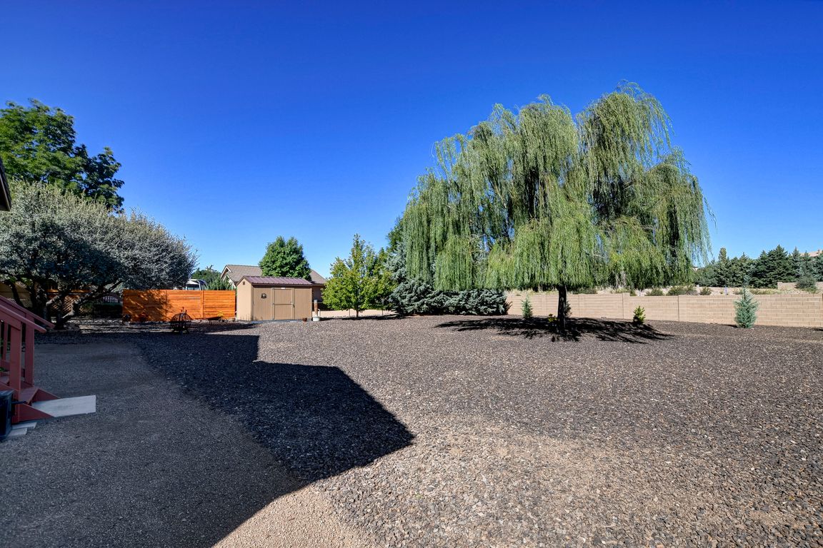 Back Yard 1