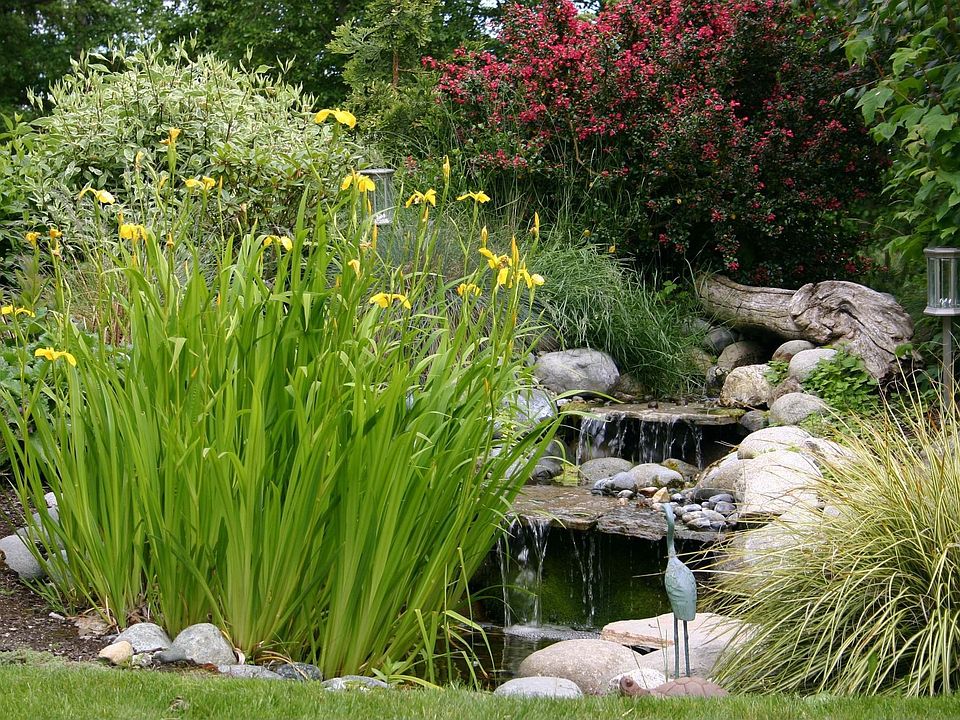 Garden/waterfall in back of house.
