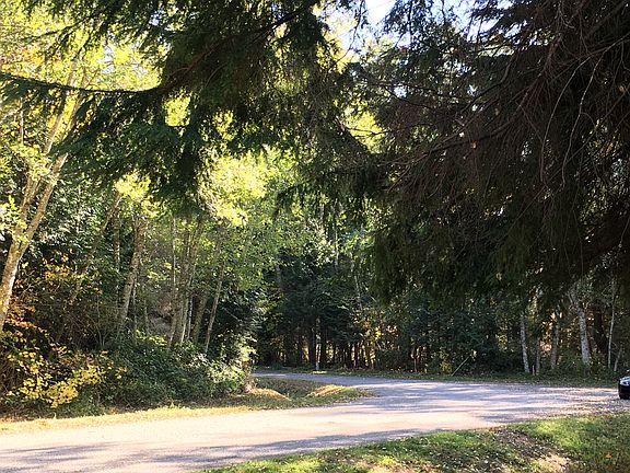 Looking out from property