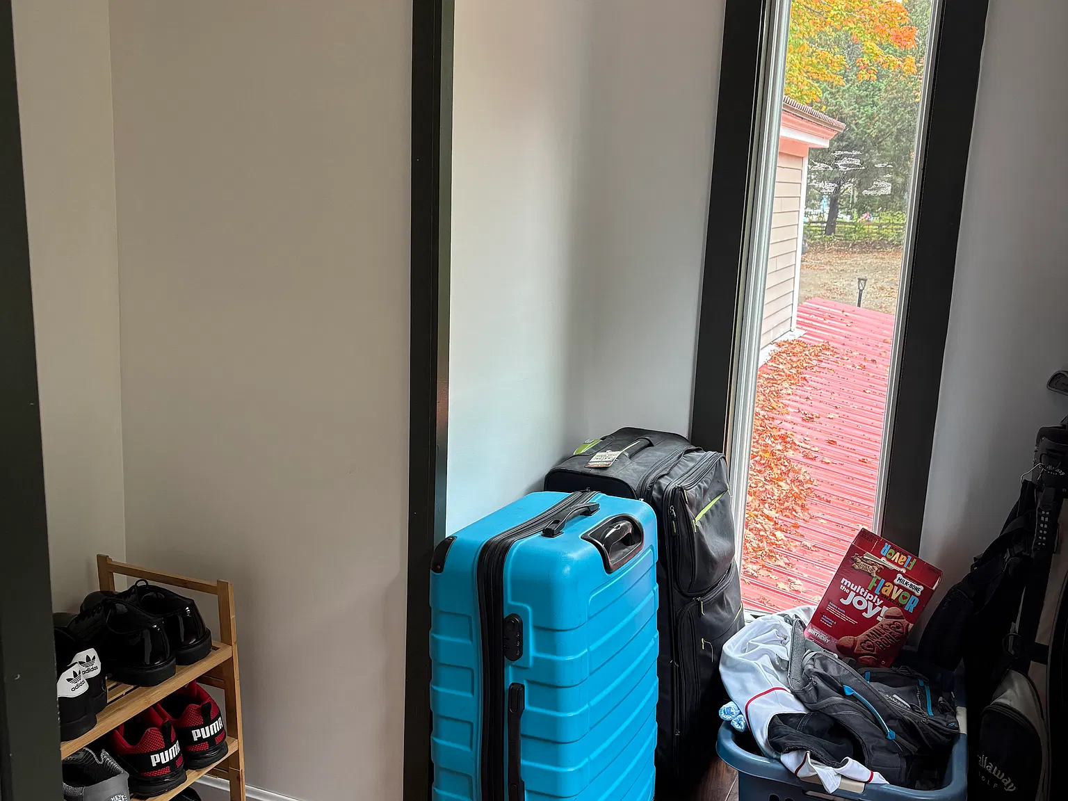 1 bed, 550 sqft, $1,400 — Photo 2