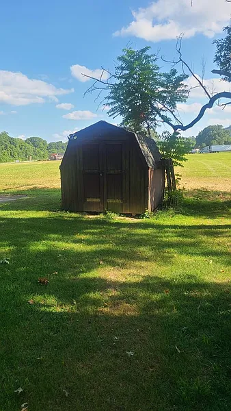Thumbnail 20