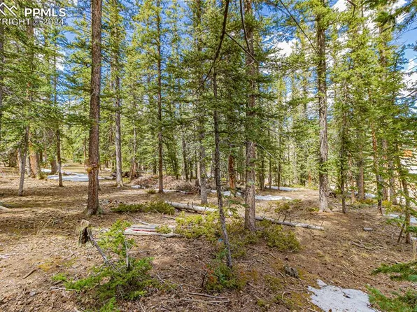 402 Silvermoon Hts, Divide, CO 80814