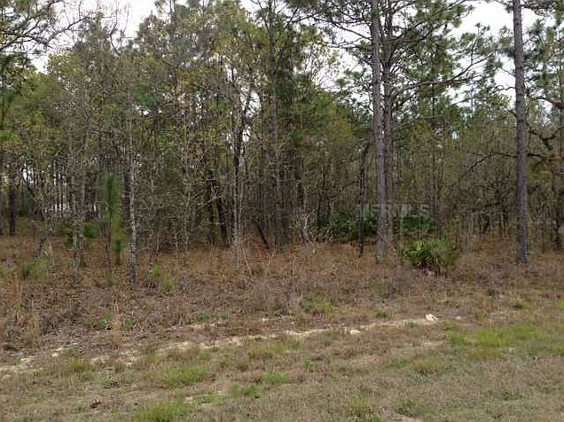 1st image of 19091 N Dale Mabry Hwy
