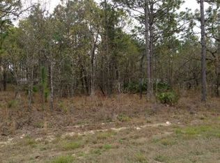 19091 N Dale Mabry Hwy, Lutz, FL 33548