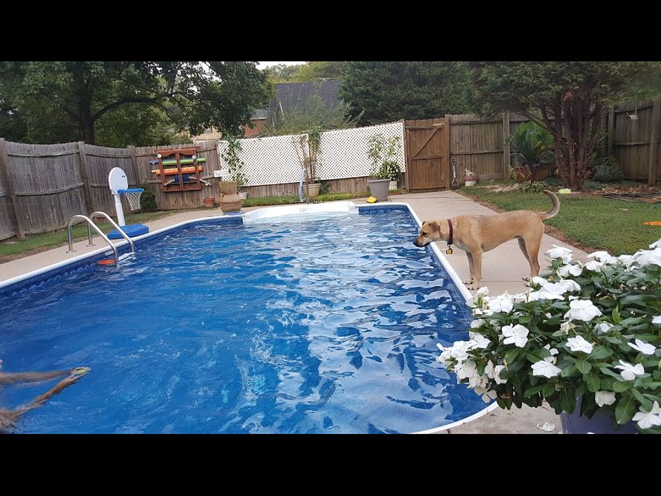 1st image of 4309 Grandville Blvd