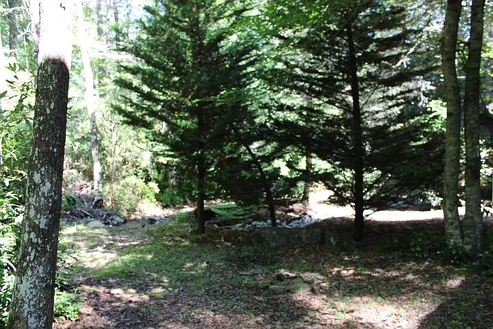 370 Timberline Dr — Photo 18