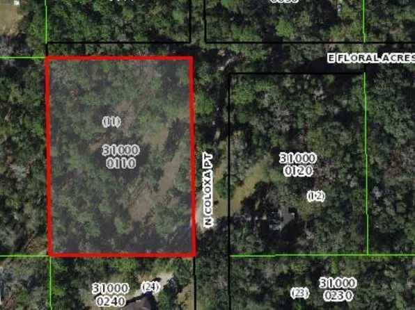 8927 E Floral Acres Ct, Floral City, FL 34436