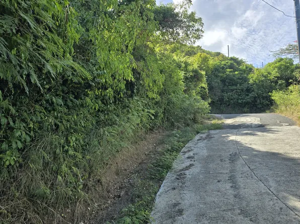 167 Jolly Hill WE, St. Croix, VI 00840