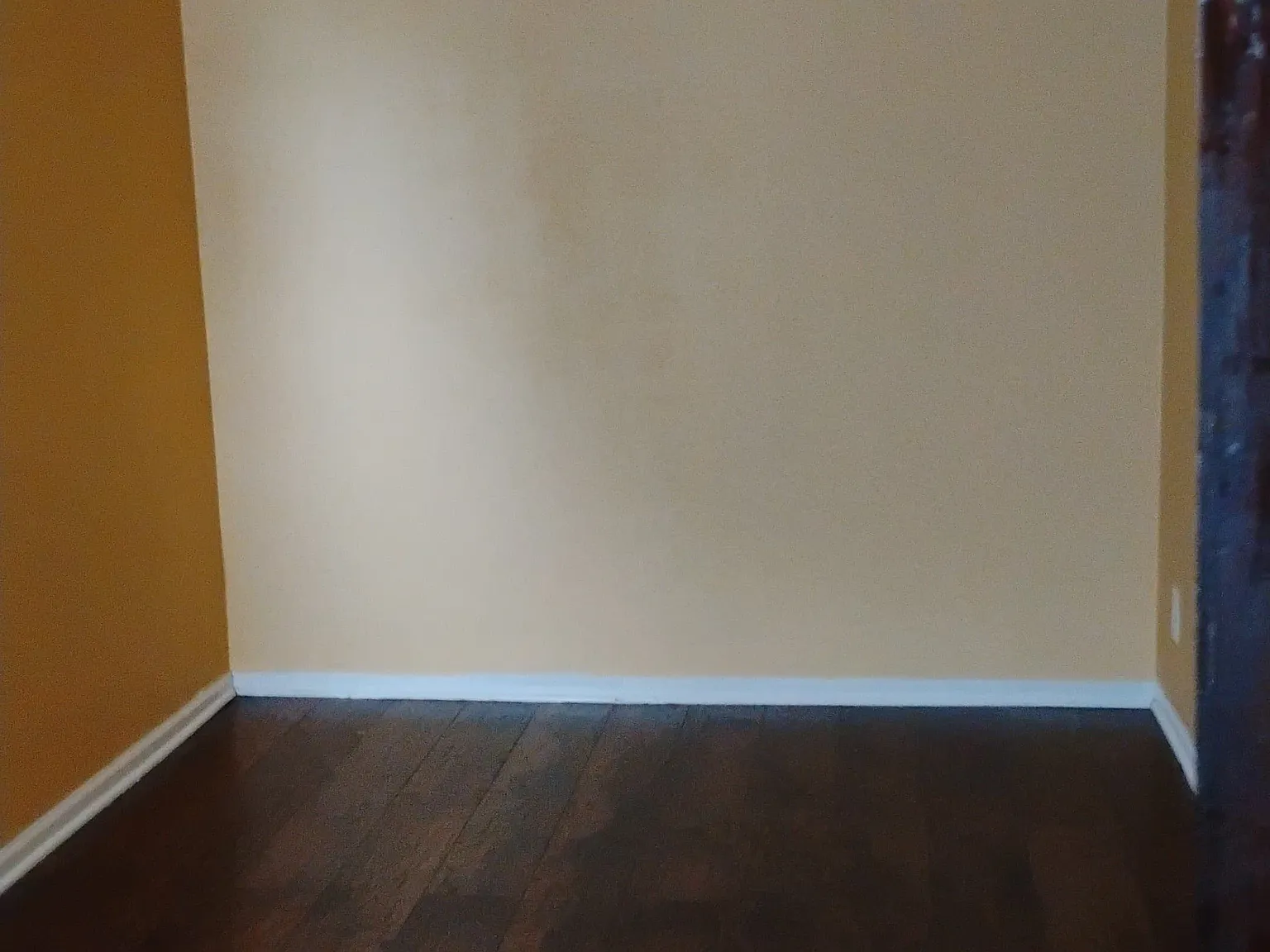 2 bed, 1.0 bath, $1,600 — Photo 4