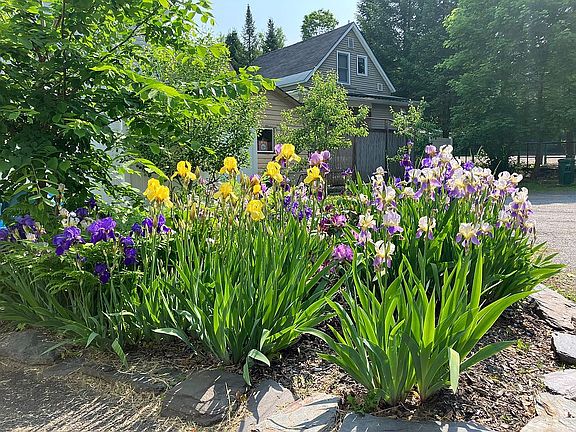Perennial beds
