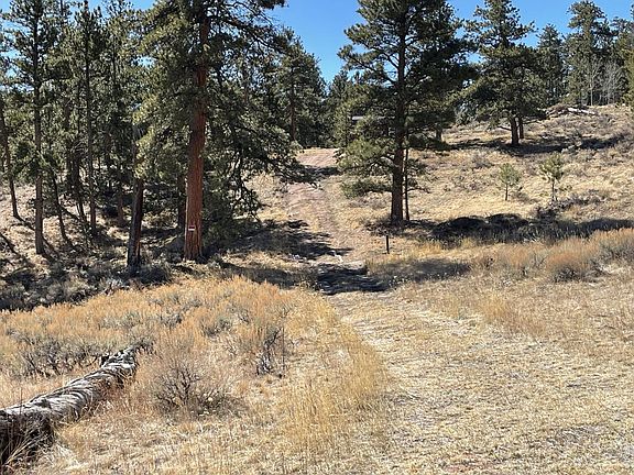 4th image of 1018 Beartrap Rd