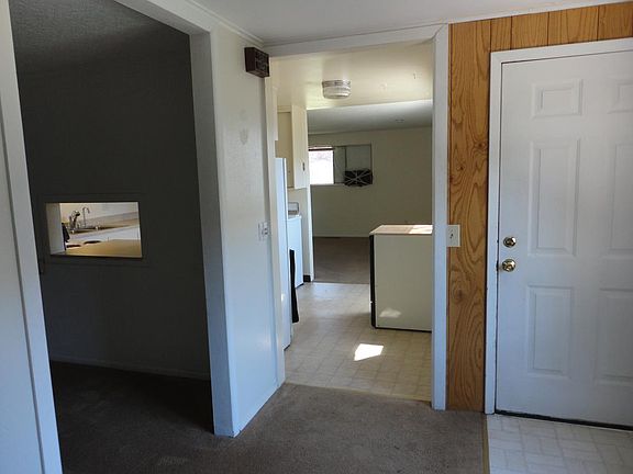 View from Family Room