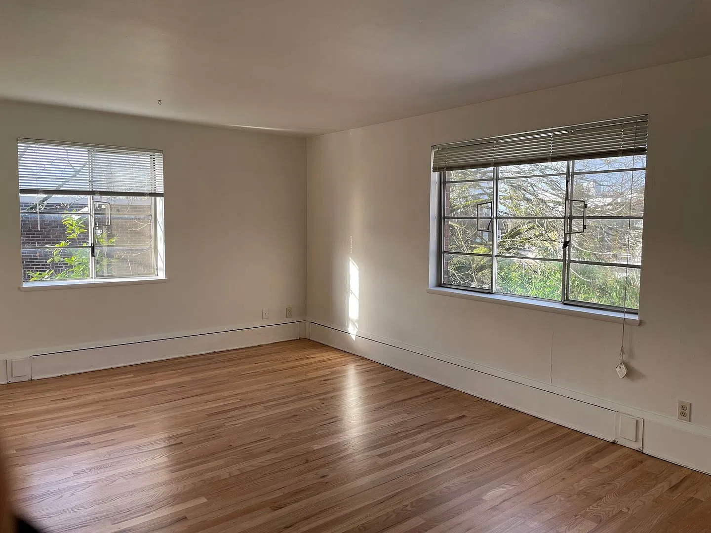 Top floor corner 1BR - beautiful hardwood floors, large bedroom, central Cap Hill location! — Photo 2
