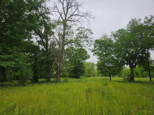 2396 Shady Rd, Baconton, GA 31716