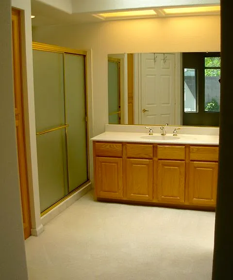 5196 Sugar Pine Loop — Photo 5