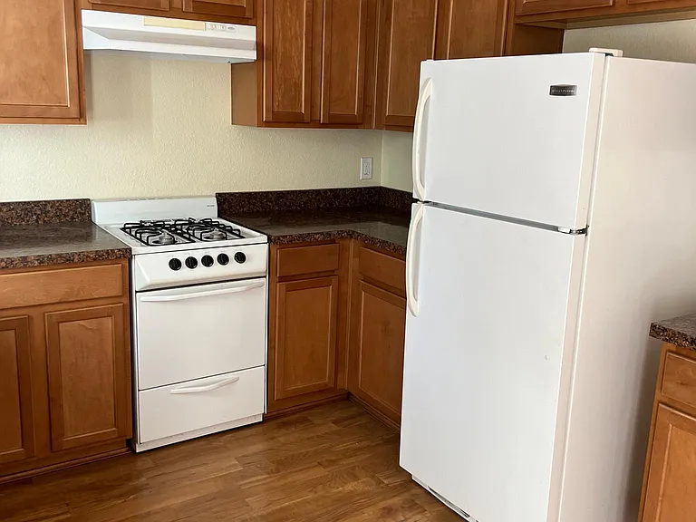 204 Talisman Dr — Photo 14
