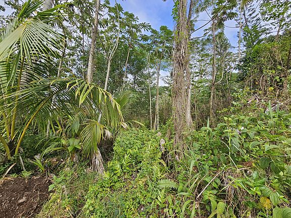 3rd image of 36th Ave Lot 82