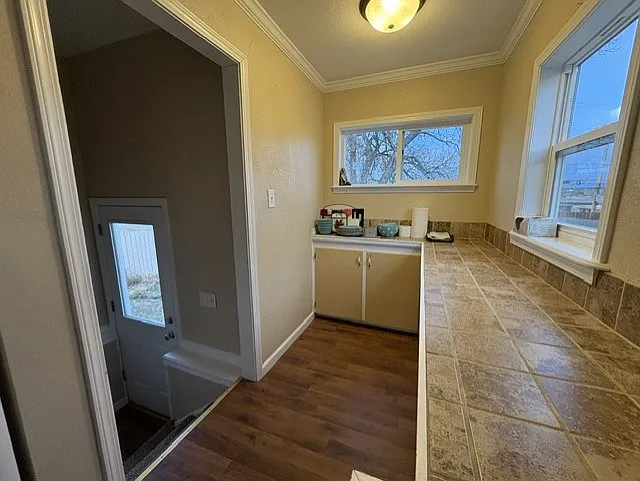 Kitchen and backdoor