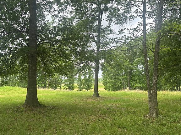 4th image of 1000 County Road 471