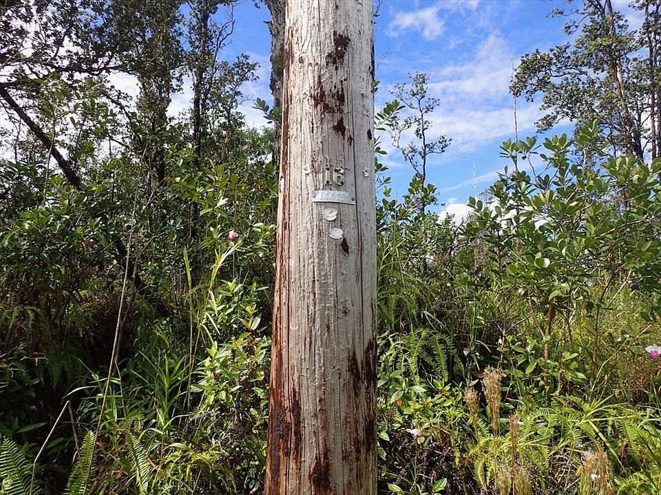 2nd image of 37th Ave Lot 39