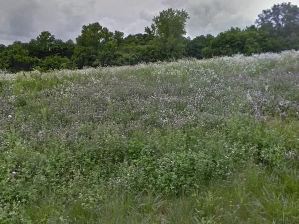 LOT 2 S Perry Rd, Grain Valley, MO 64029