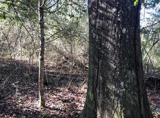 Rosin Ridge Rd, Red Level, AL 36474