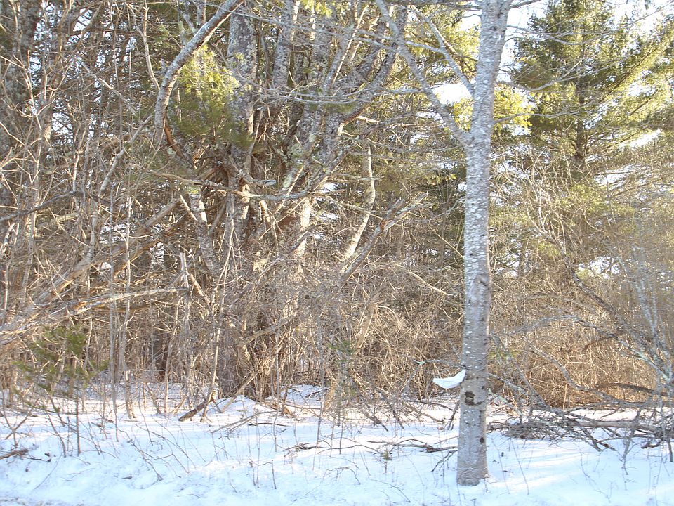 2nd image of 9999 Patterson Mill Road