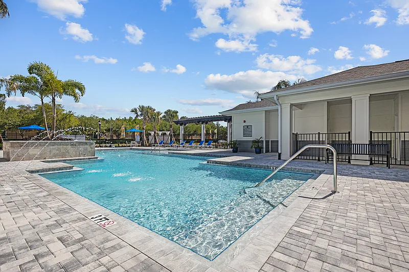 New Tampa Palms — Photo 2