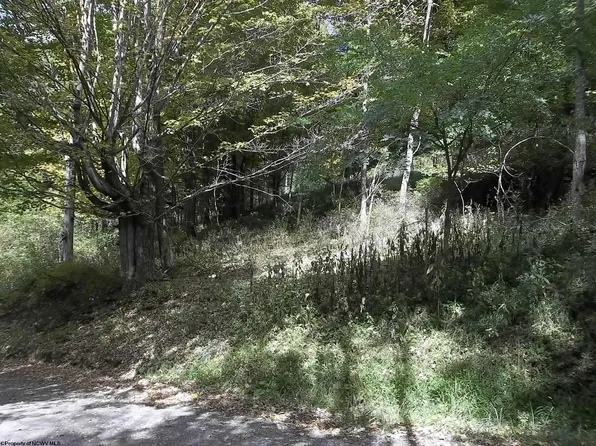 3 High Mountain Rd, Harman, WV 26270