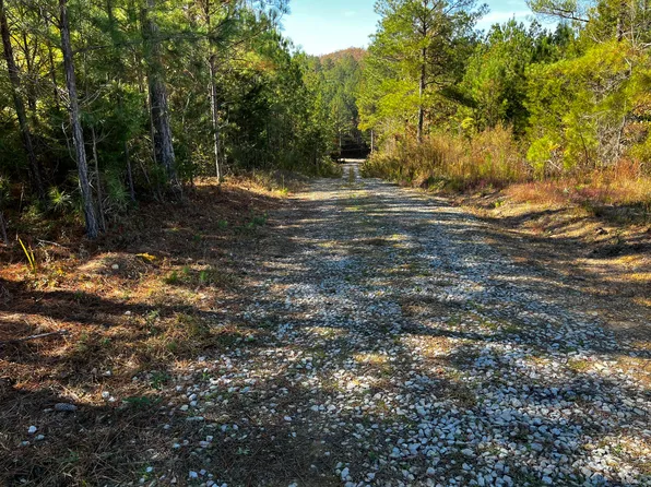 1693 Liggett Rd, Decatur, TN 37322